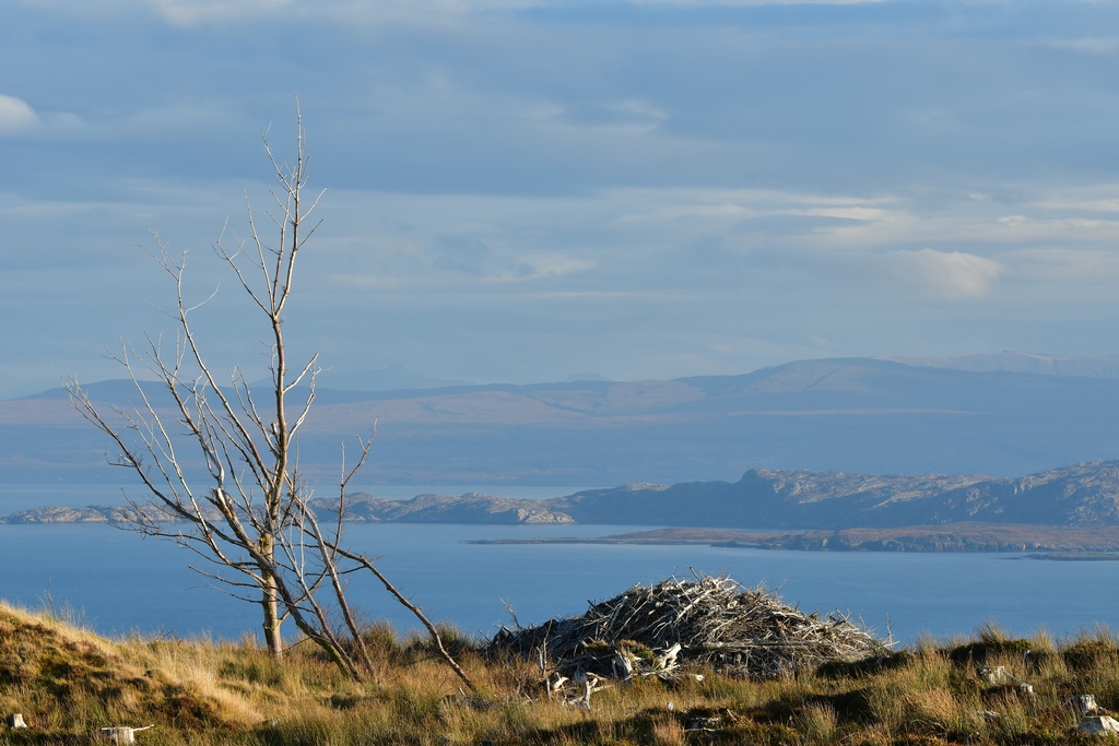 2018-11 Scotland/Old man or Storr/DSC_7504.JPG